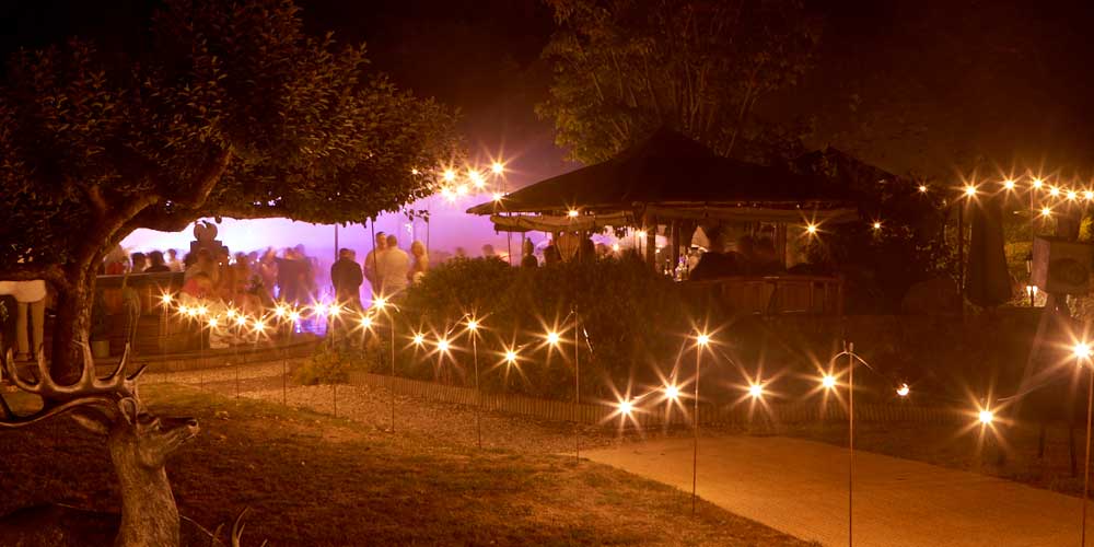 Outdoor-Party-Lighting